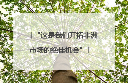 “这是我们开拓非洲市场的绝佳机会”