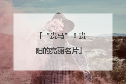 “贵马”！贵阳的亮丽名片