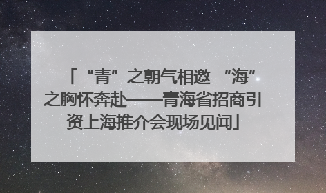 “青”之朝气相邀 “海”之胸怀奔赴——青海省招商引资上海推介会现场见闻