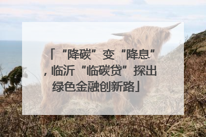 “降碳”变“降息”，临沂“临碳贷”探出绿色金融创新路