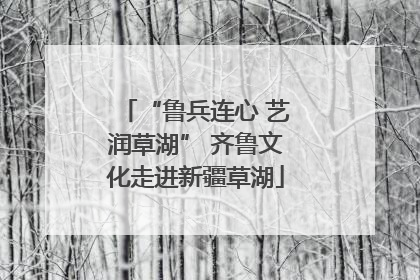 “鲁兵连心 艺润草湖” 齐鲁文化走进新疆草湖