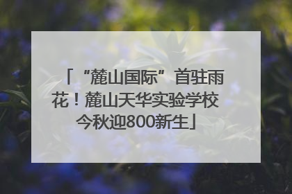 “麓山国际”首驻雨花！麓山天华实验学校今秋迎800新生