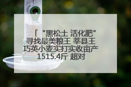 “黑松土 活化肥”寻找最美粮王 莘县王巧英小麦实打实收亩产1515.4斤 超对照田144斤！