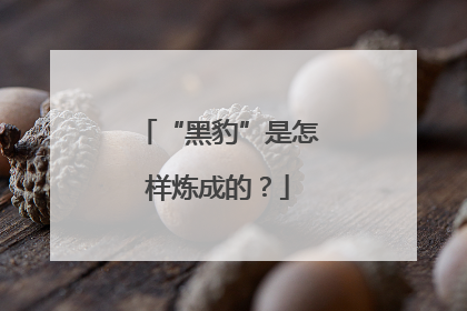“黑豹”是怎样炼成的？