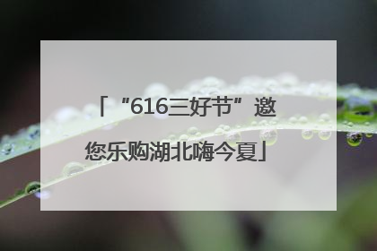 “616三好节”邀您乐购湖北嗨今夏