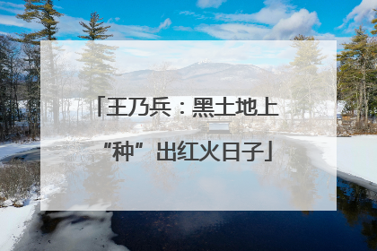 王乃兵：黑土地上“种”出红火日子