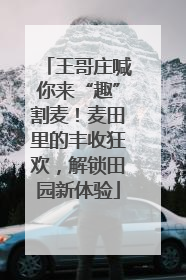 王哥庄喊你来“趣”割麦！麦田里的丰收狂欢，解锁田园新体验