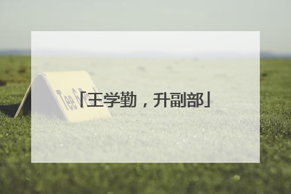 王学勤，升副部