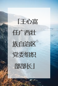 王心富任广西壮族自治区党委组织部部长