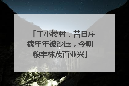 王小楼村：昔日庄稼年年被沙压，今朝粮丰林茂百业兴