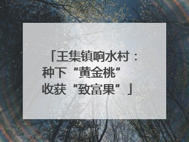 王集镇响水村：种下“黄金桃” 收获“致富果”
