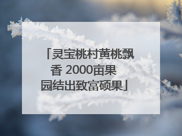 灵宝桃村黄桃飘香 2000亩果园结出致富硕果