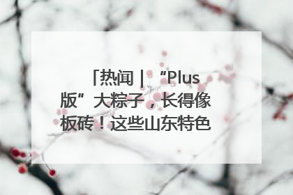 热闻｜“Plus版”大粽子，长得像板砖！这些山东特色粽子你吃过吗？