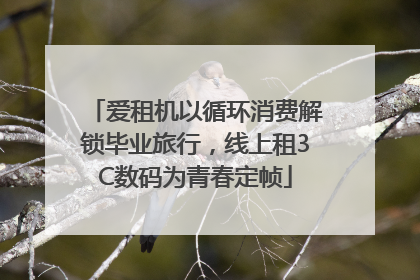 爱租机以循环消费解锁毕业旅行，线上租3C数码为青春定帧