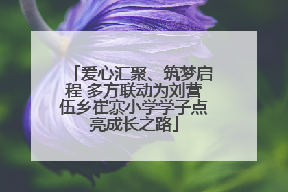 爱心汇聚、筑梦启程 多方联动为刘营伍乡崔寨小学学子点亮成长之路