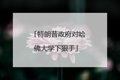 特朗普政府对哈佛大学下狠手