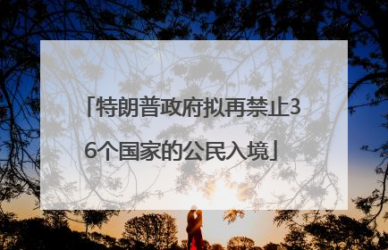 特朗普政府拟再禁止36个国家的公民入境