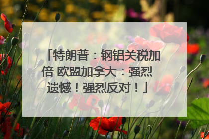 特朗普：钢铝关税加倍 欧盟加拿大：强烈遗憾！强烈反对！