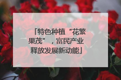 特色种植“花繁果茂”，富民产业释放发展新动能