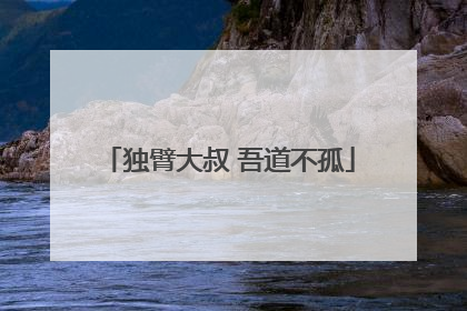 独臂大叔 吾道不孤