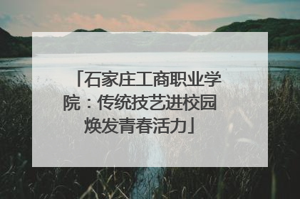 石家庄工商职业学院：传统技艺进校园焕发青春活力
