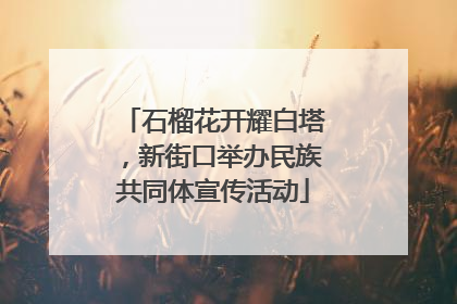 石榴花开耀白塔，新街口举办民族共同体宣传活动