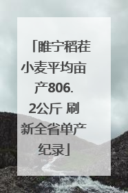 睢宁稻茬小麦平均亩产806.2公斤 刷新全省单产纪录