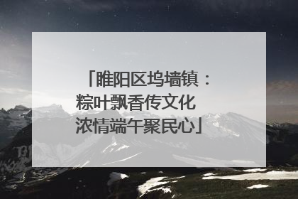 睢阳区坞墙镇：粽叶飘香传文化 浓情端午聚民心