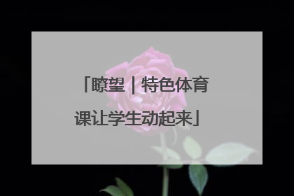 瞭望｜特色体育课让学生动起来