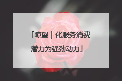 瞭望｜化服务消费潜力为强劲动力