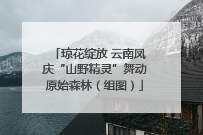 琼花绽放 云南凤庆“山野精灵”舞动原始森林（组图）