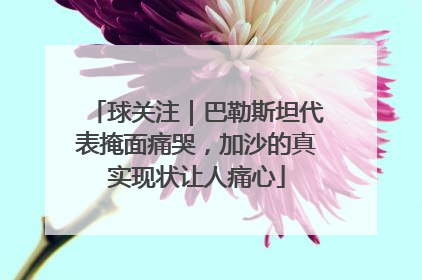 球关注｜巴勒斯坦代表掩面痛哭，加沙的真实现状让人痛心