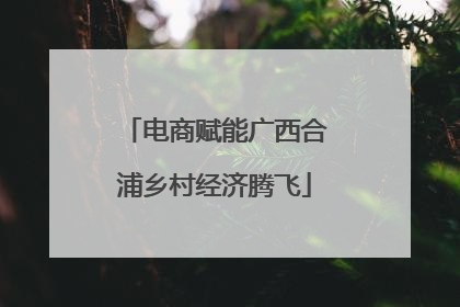 电商赋能广西合浦乡村经济腾飞