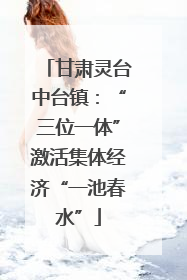 甘肃灵台中台镇：“三位一体”激活集体经济“一池春水”