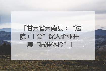甘肃省肃南县：“法院+工会”深入企业开展“精准体检”