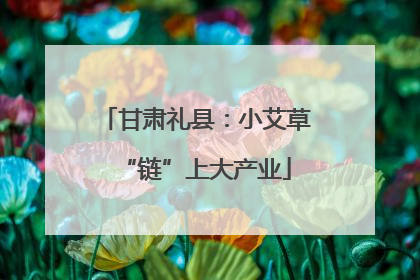 甘肃礼县：小艾草“链”上大产业
