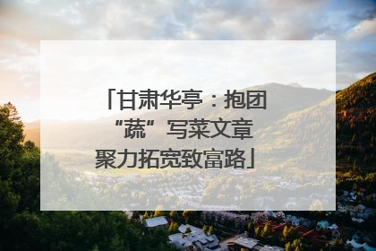 甘肃华亭：抱团“蔬”写菜文章 聚力拓宽致富路