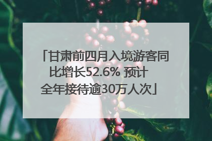 甘肃前四月入境游客同比增长52.6% 预计全年接待逾30万人次