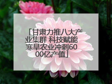 甘肃力推八大产业集群 科技赋能寒旱农业冲刺6000亿产值