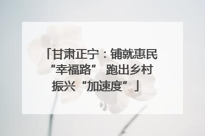 甘肃正宁：铺就惠民“幸福路” 跑出乡村振兴“加速度”
