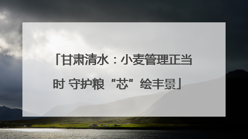 甘肃清水：小麦管理正当时 守护粮“芯”绘丰景