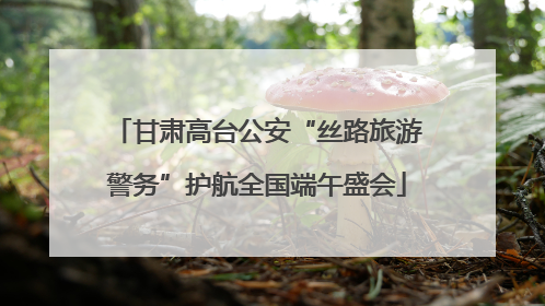 甘肃高台公安“丝路旅游警务”护航全国端午盛会