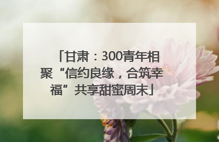甘肃：300青年相聚“信约良缘，合筑幸福”共享甜蜜周末