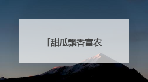 甜瓜飘香富农家 “甜蜜产业”助振兴