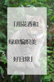 用花香和绿意编织美好日常