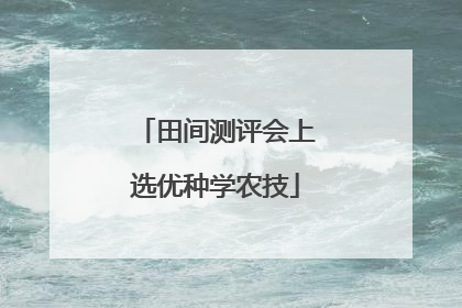 田间测评会上选优种学农技