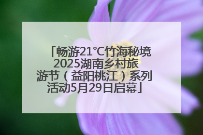 畅游21℃竹海秘境 2025湖南乡村旅游节（益阳桃江）系列活动5月29日启幕