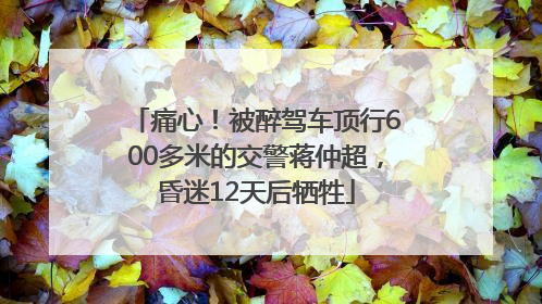痛心！被醉驾车顶行600多米的交警蒋仲超，昏迷12天后牺牲