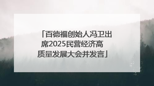 百德福创始人冯卫出席2025民营经济高质量发展大会并发言