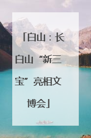 白山：长白山“新三宝”亮相文博会